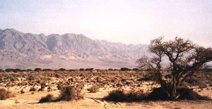 Arava Valley, Israel