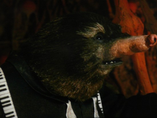 Mole: ‘I just want to see… a little sunshine’. Mr. Fox: ‘But you’re nocturnal, Phil. Your eyes barely open on a good day’. Mole: ‘I’m sick of your double talk, we have rights!’